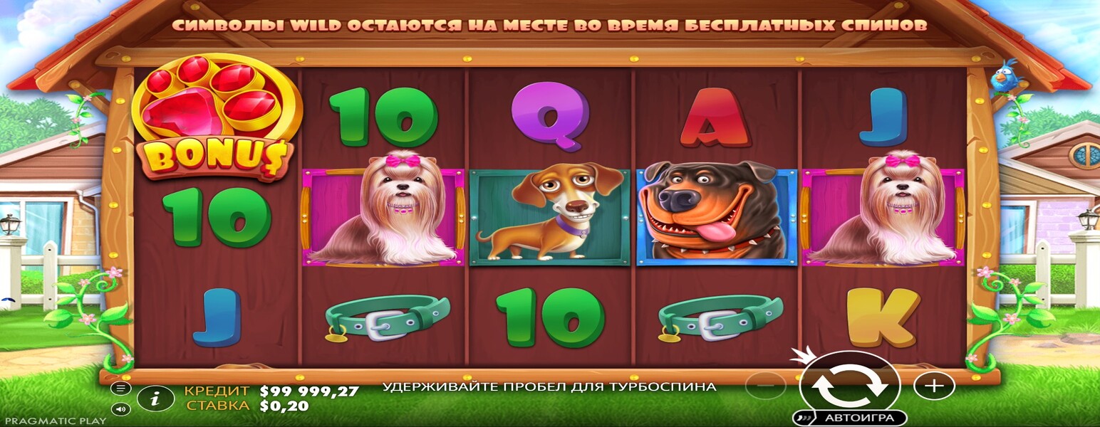 The Dog House
